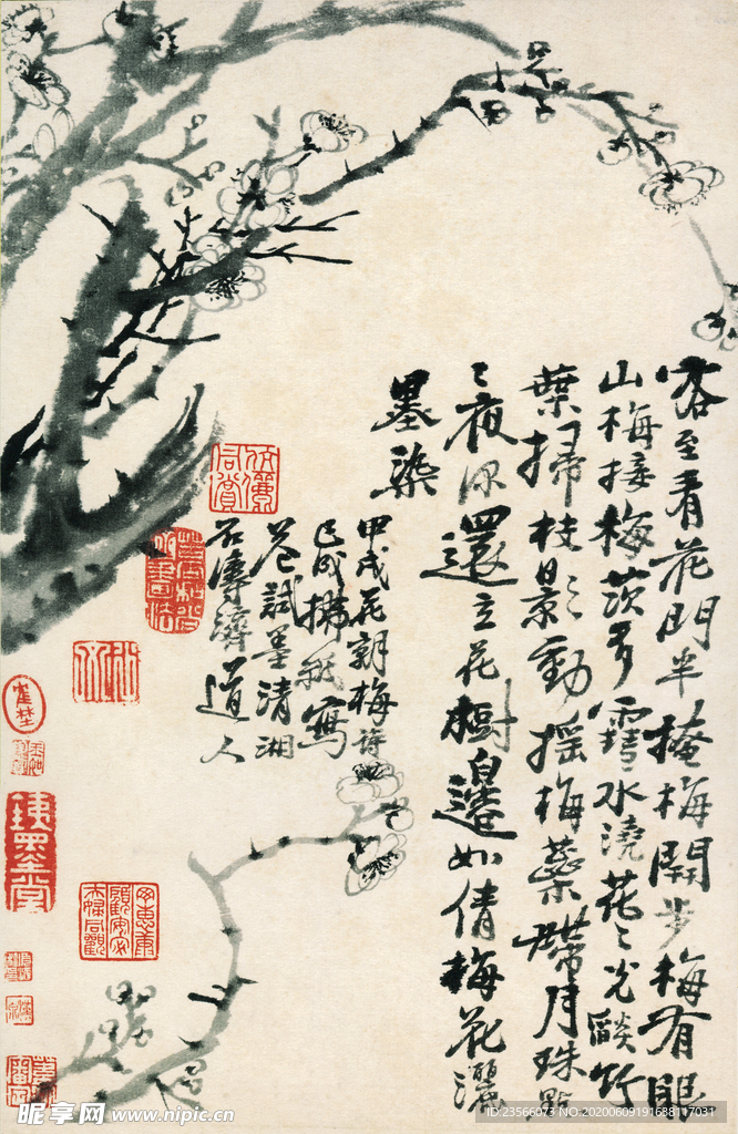 植物花鸟国画字画