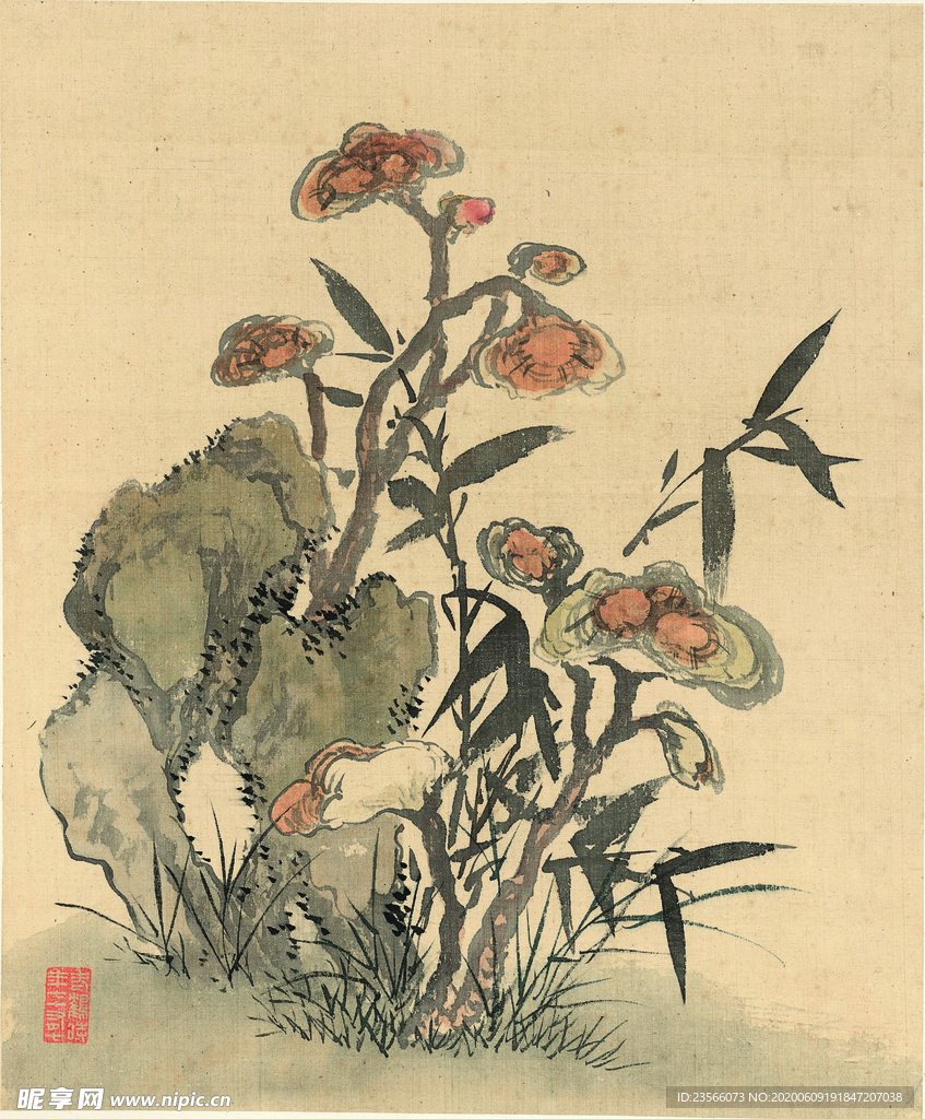 植物花鸟国画