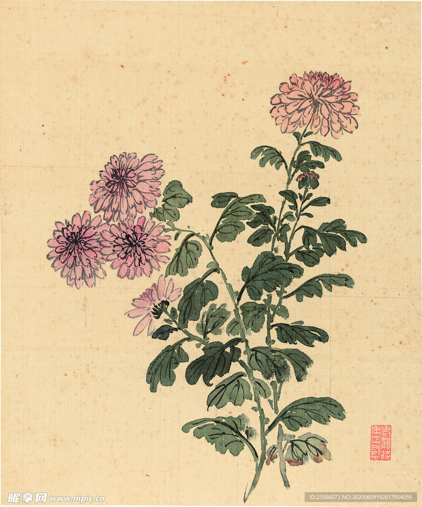 植物花鸟国画