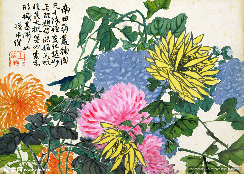 植物花卉绘画图谱