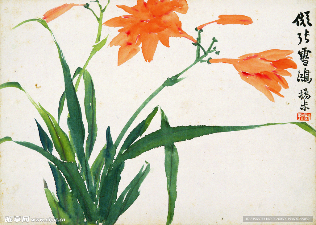 植物花卉绘画图谱