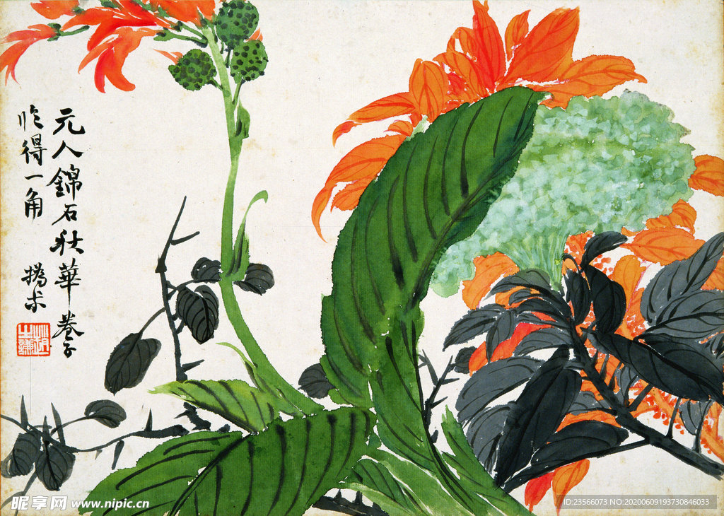 植物花卉绘画图谱