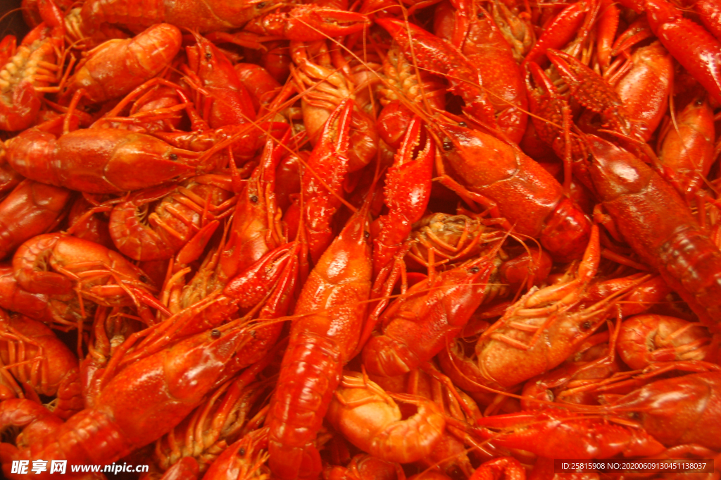 小龙虾大龙虾图片