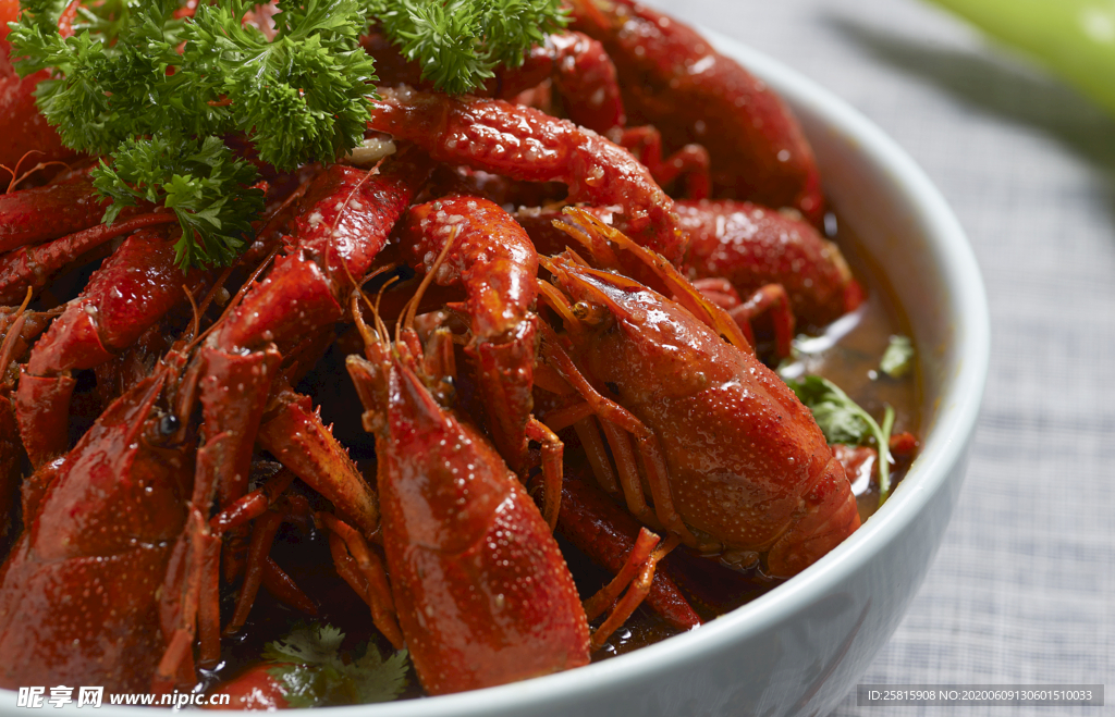 小龙虾大龙虾图片