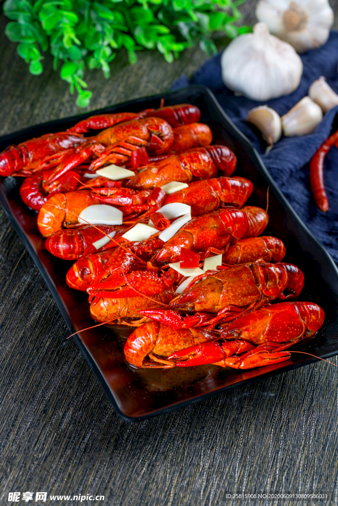 小龙虾大龙虾图片