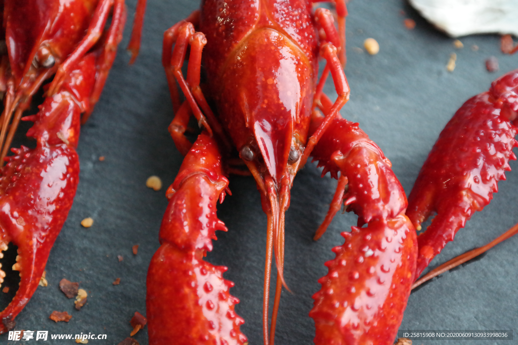 小龙虾大龙虾图片