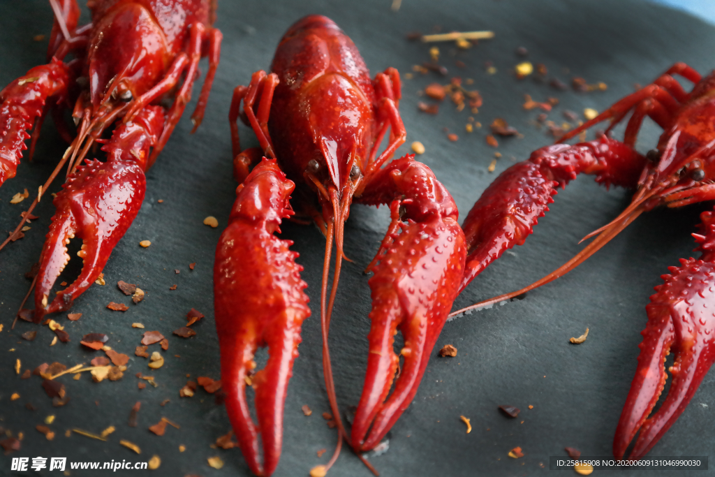 小龙虾大龙虾图片