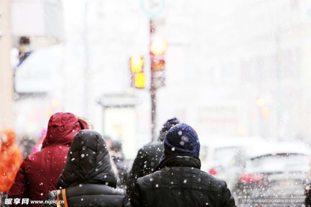 红绿灯交通灯信号灯指示灯图片