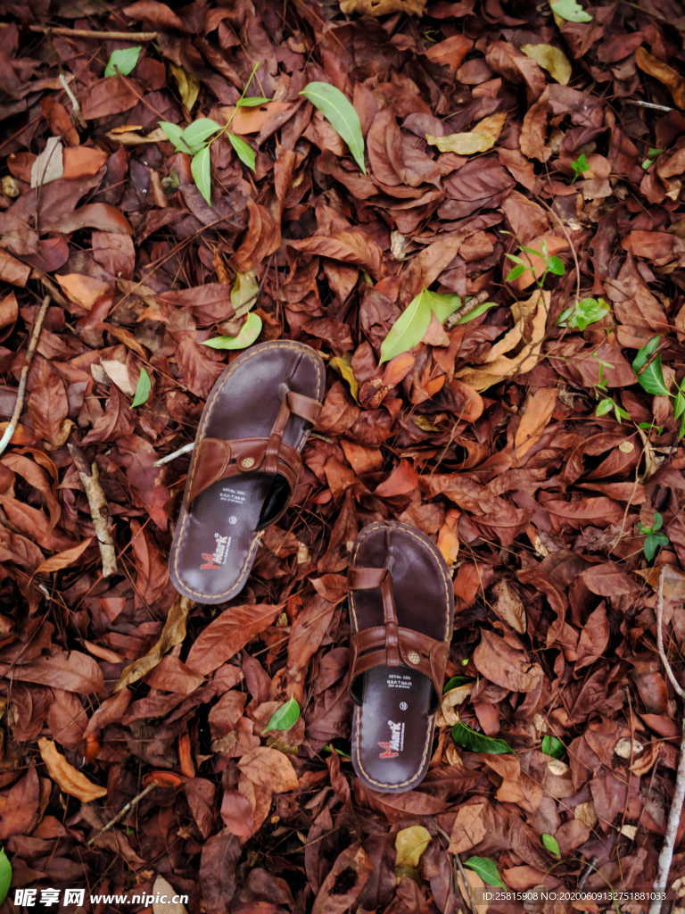 拖鞋人字拖平拖图片