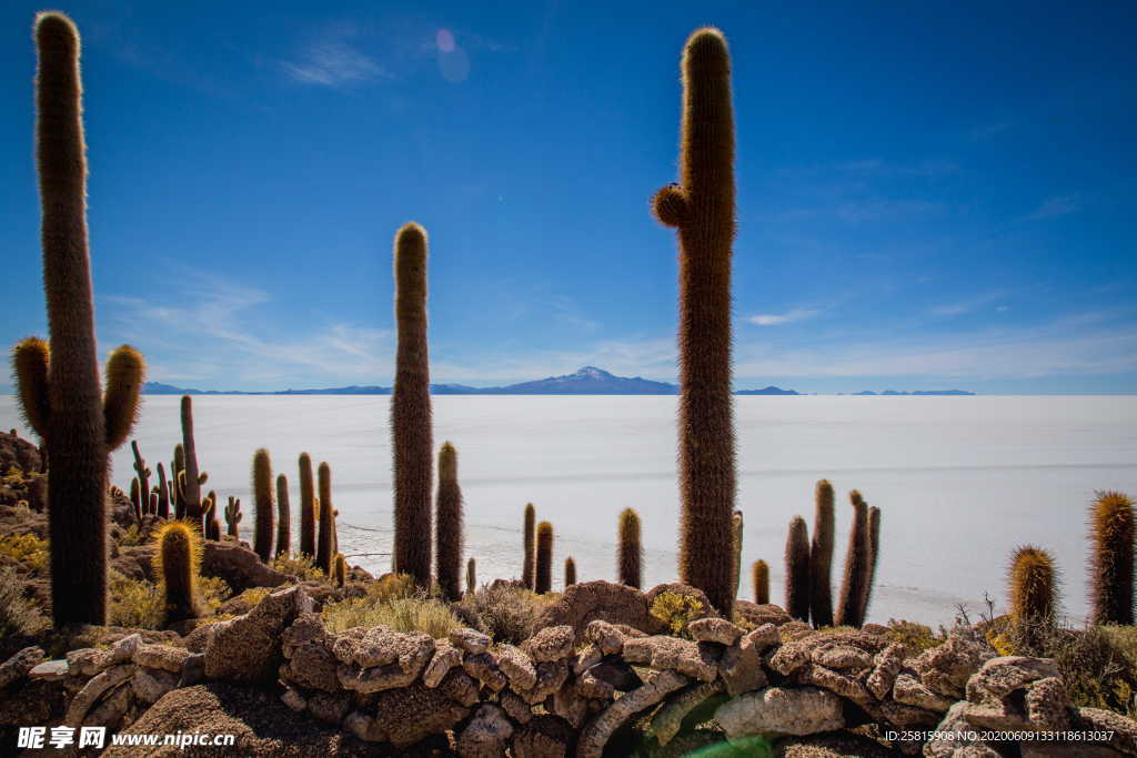 盐湖盐沼盐池盐块风景图片