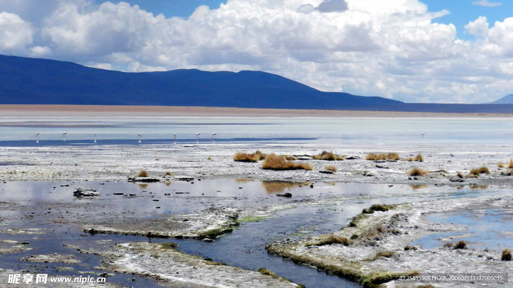 盐湖盐沼盐池盐块风景图片