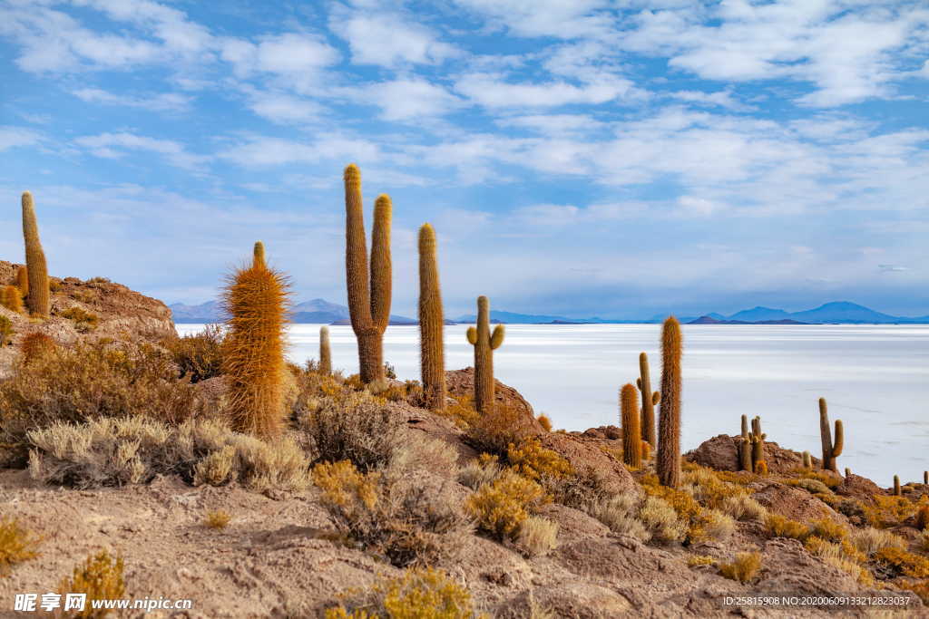 盐湖盐沼盐池盐块风景图片
