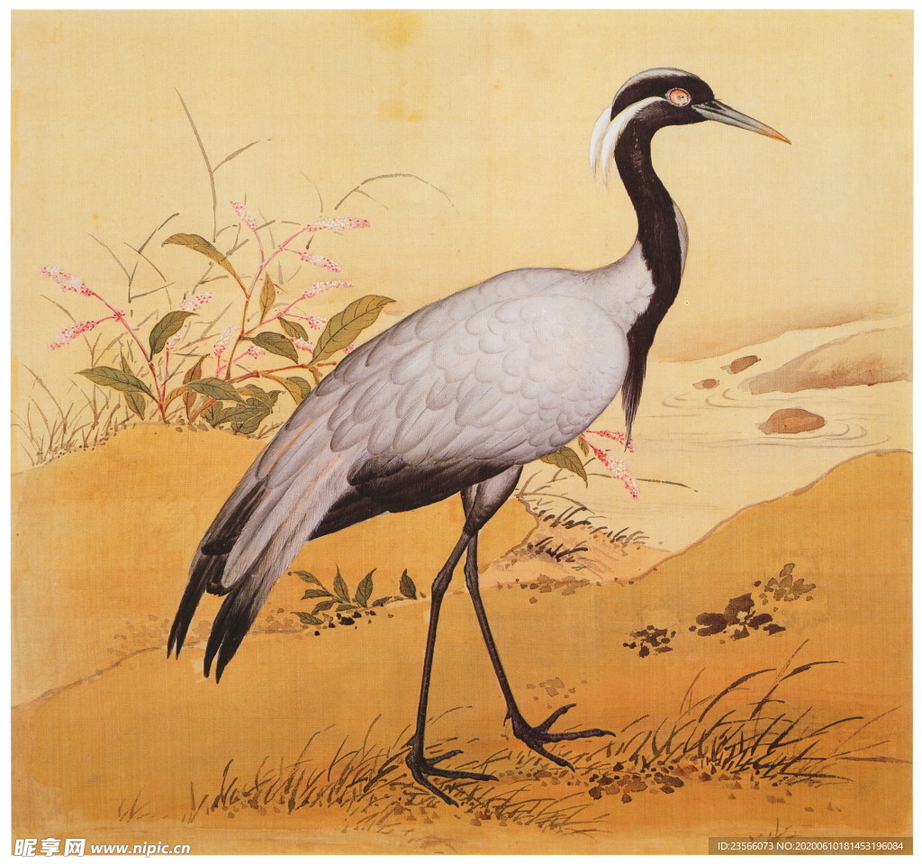 复古花鸟工笔画