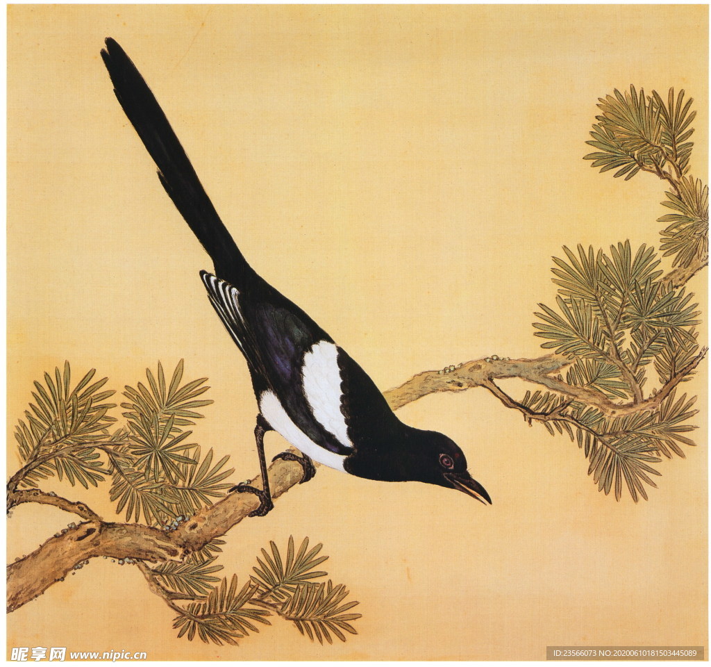 复古花鸟工笔画