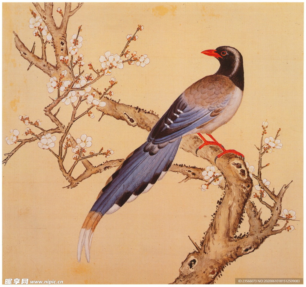 复古花鸟工笔画