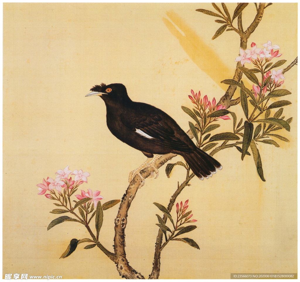 复古花鸟工笔画