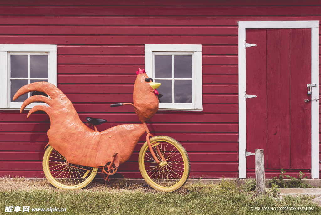 自行车共享单车车技图片