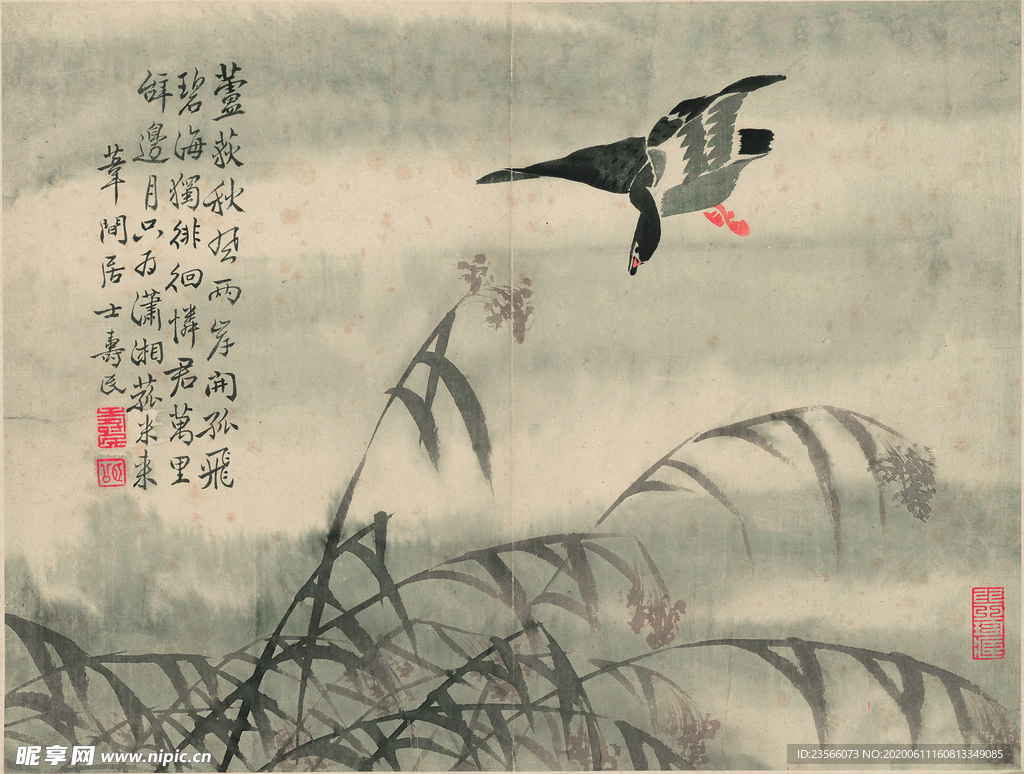 芦雁图