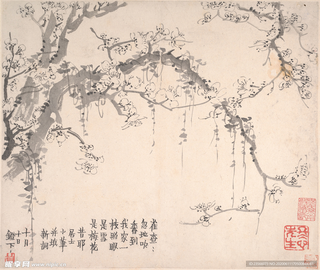 梅花图国画图案