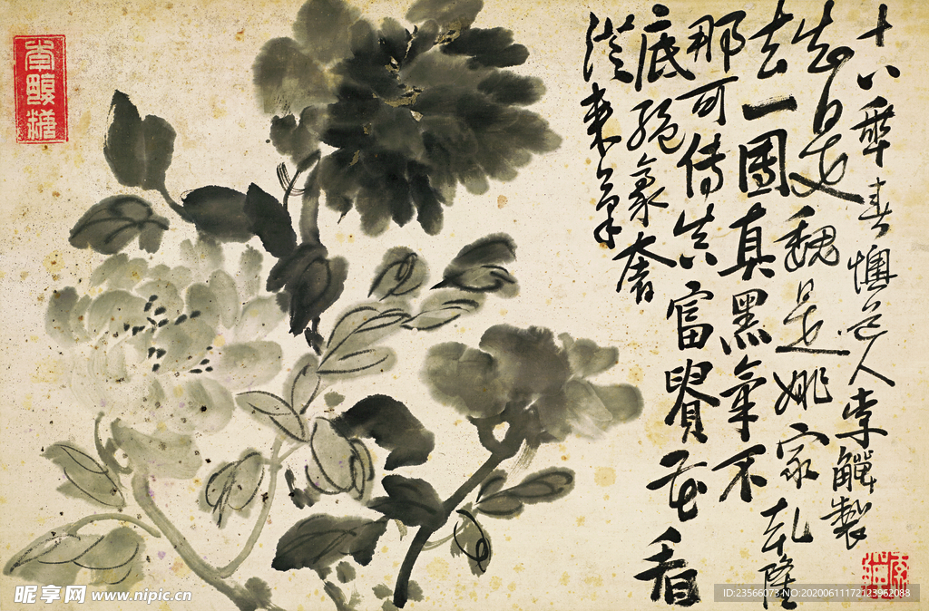 植物花草国画图案