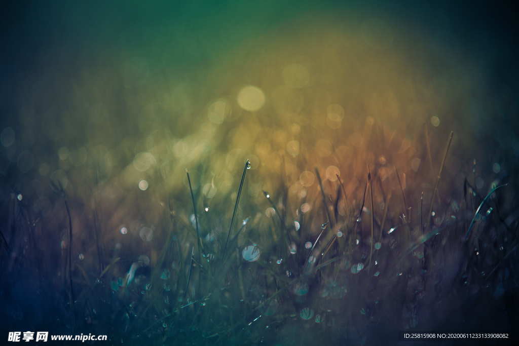 露水露珠水滴水珠图片