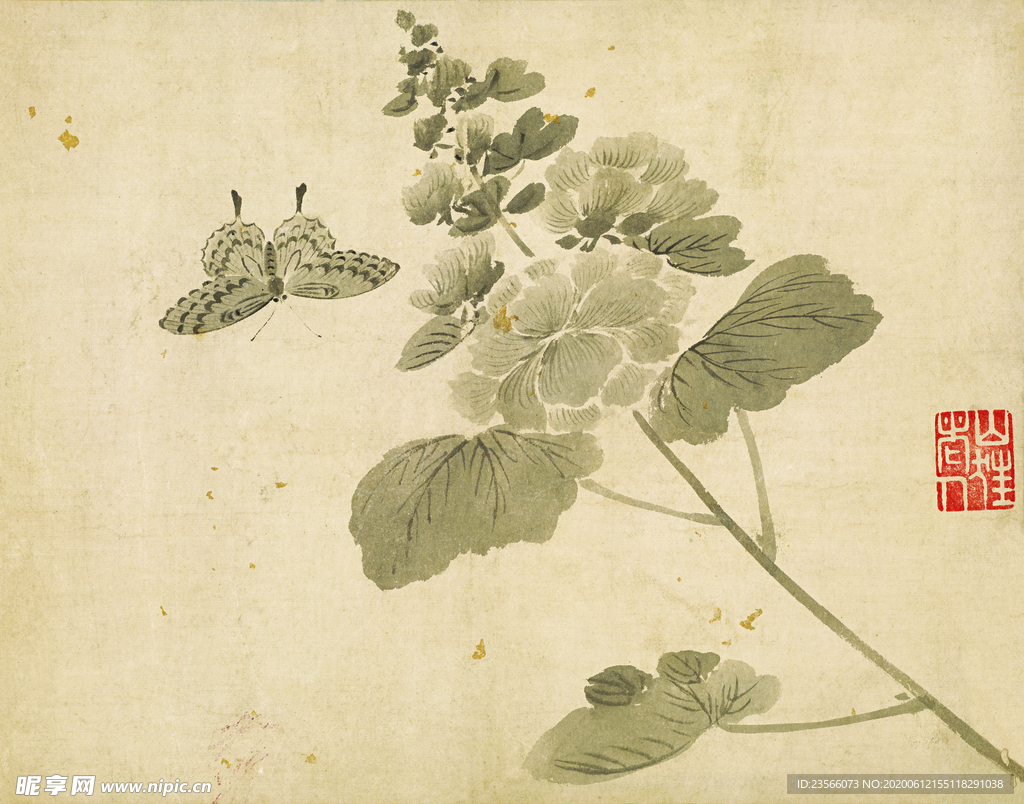 植物花朵工笔画