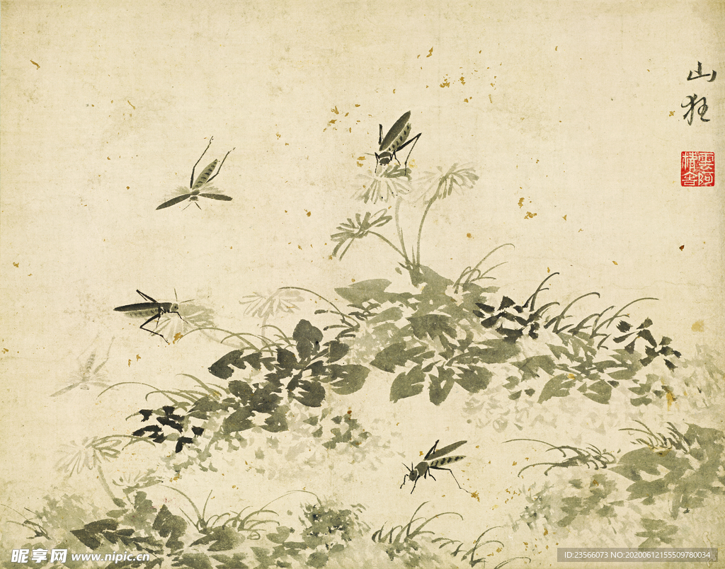 植物花朵工笔画