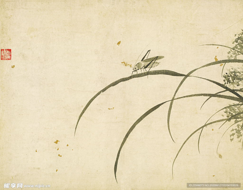 植物花朵工笔画