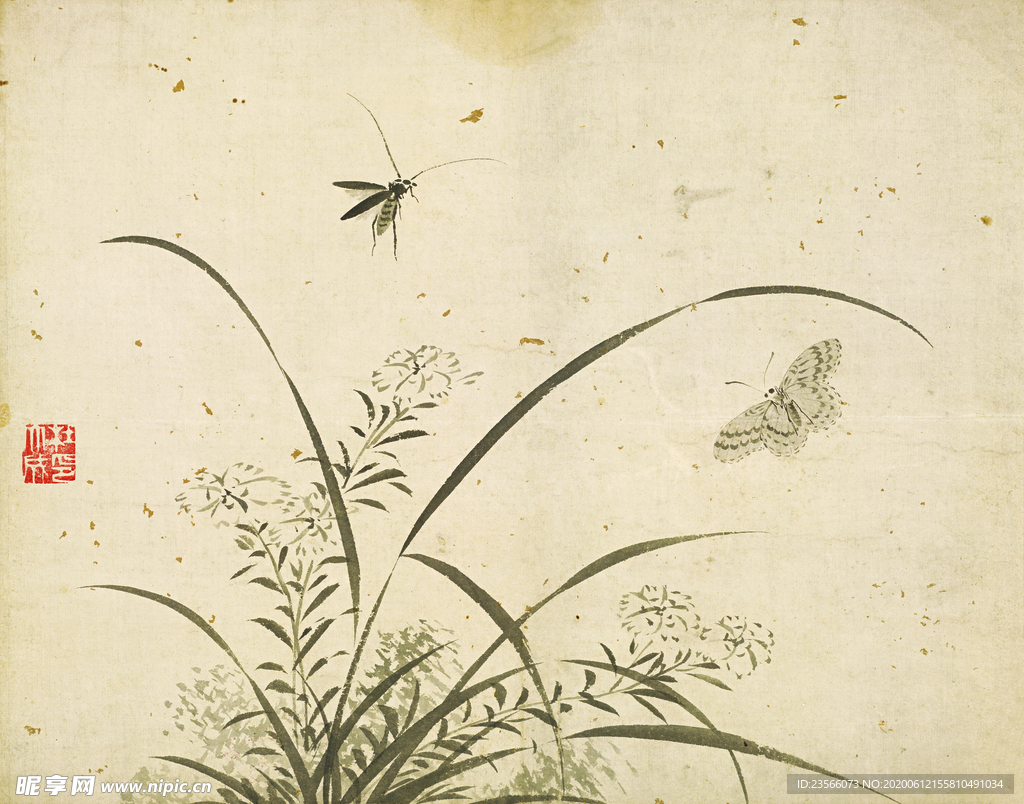 植物花朵工笔画