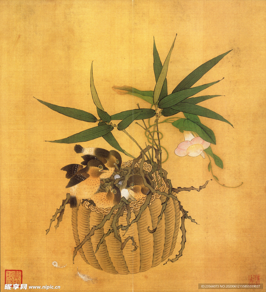 植物花朵工笔画