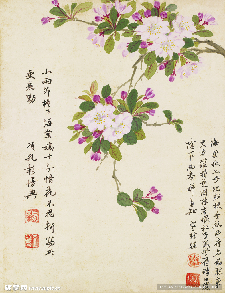 精美工笔花卉图