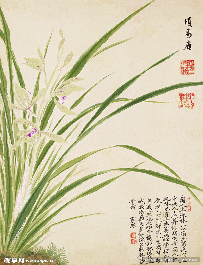 精美工笔花卉图