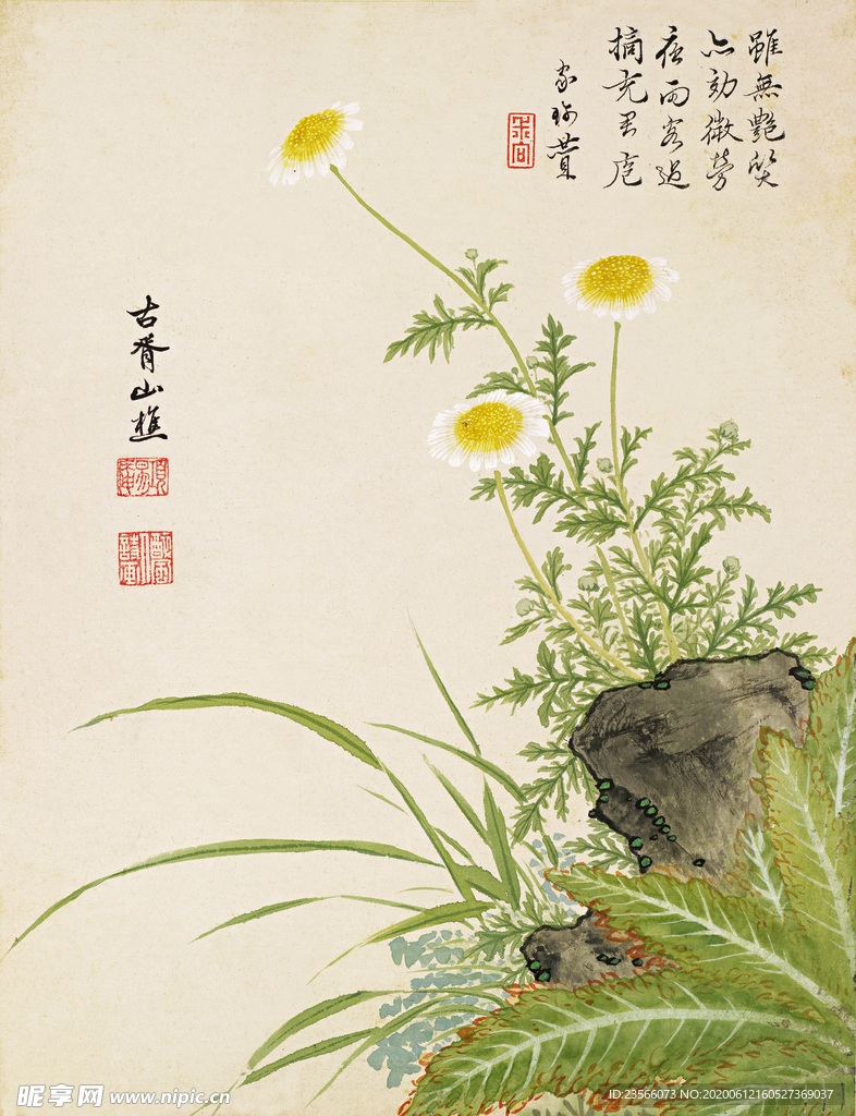 精美工笔花卉图