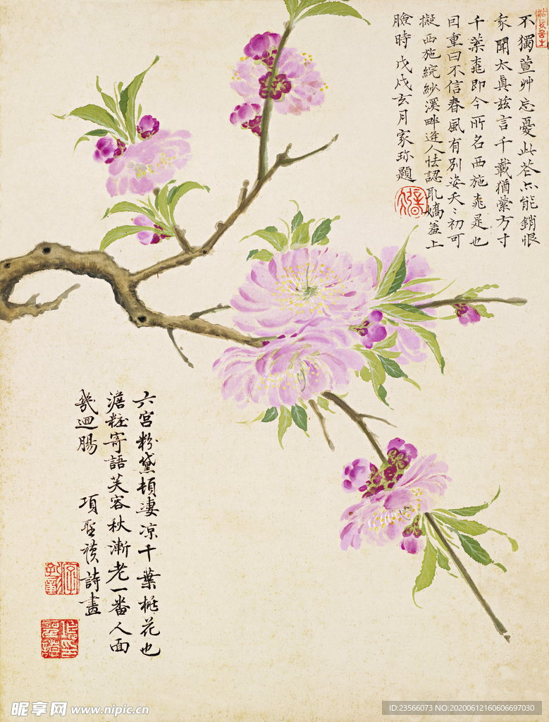 精美工笔花卉图