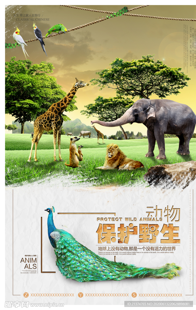 创意保护野生动物海报
