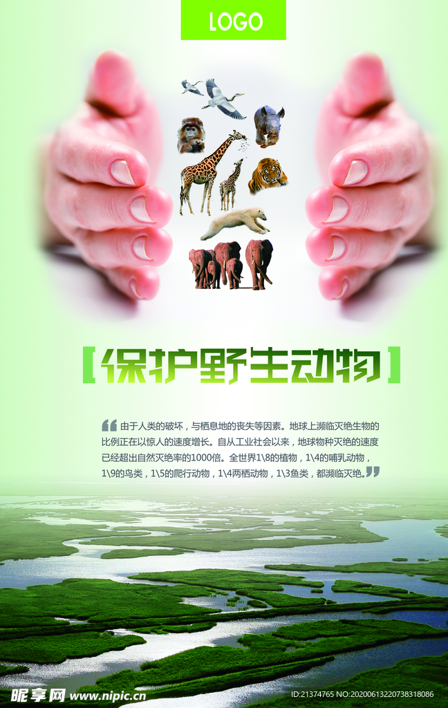 保护野生动物公益海报