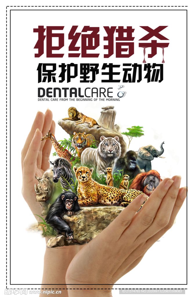保护野生动物公益海报