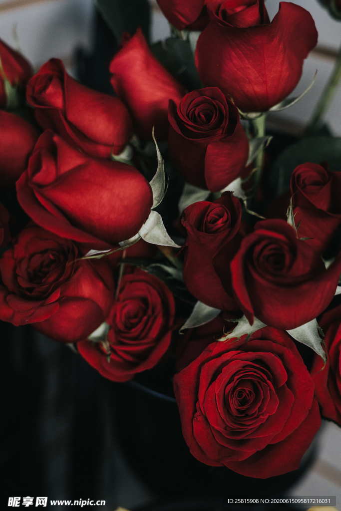 玫瑰花捧花插花浪漫图片