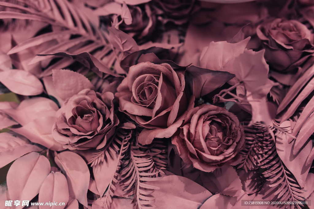 玫瑰花捧花插花浪漫图片