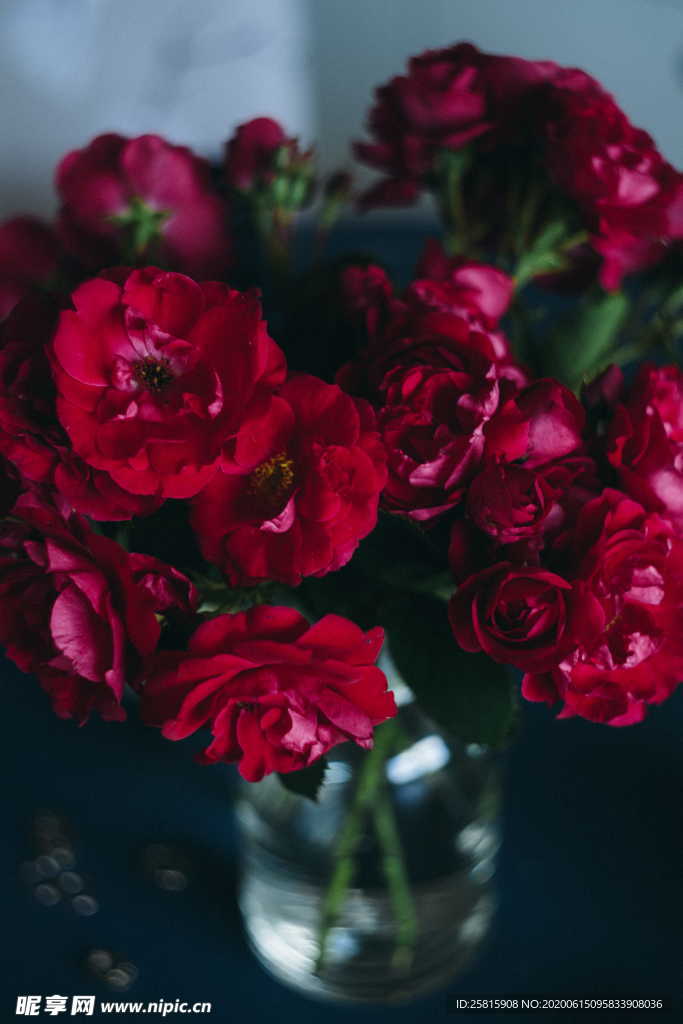 玫瑰花捧花插花浪漫图片