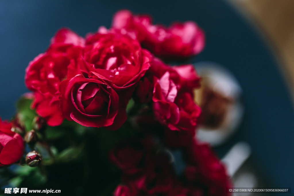 玫瑰花捧花插花浪漫图片