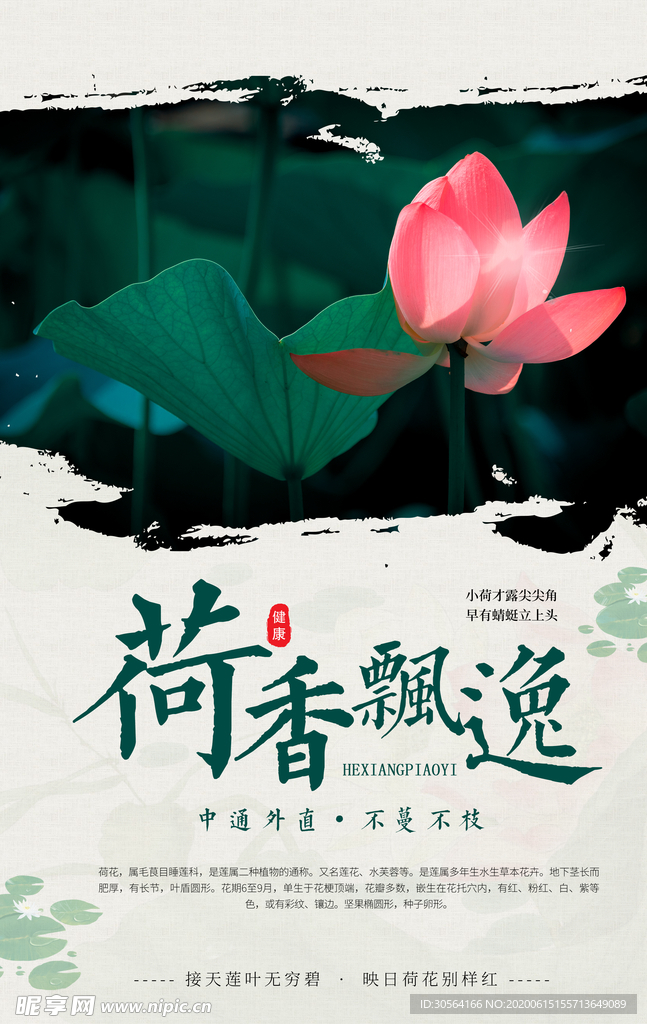 荷香飘逸古风插画卡通夏季海报