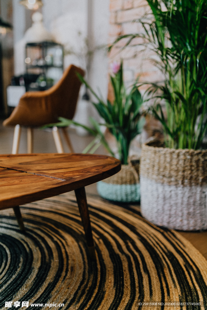 盆栽盆景瓶栽室内外花草图片