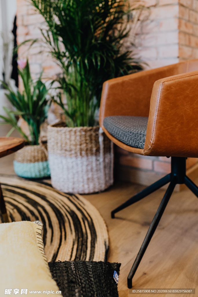 盆栽盆景瓶栽室内外花草图片