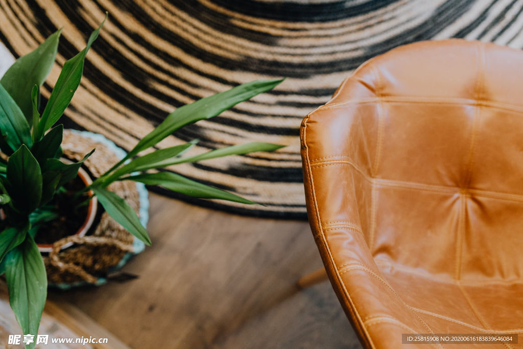 盆栽盆景瓶栽室内外花草图片