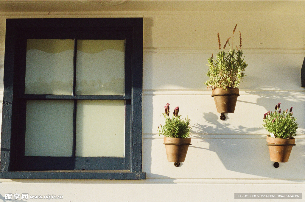 盆栽盆景瓶栽室内外花草图片