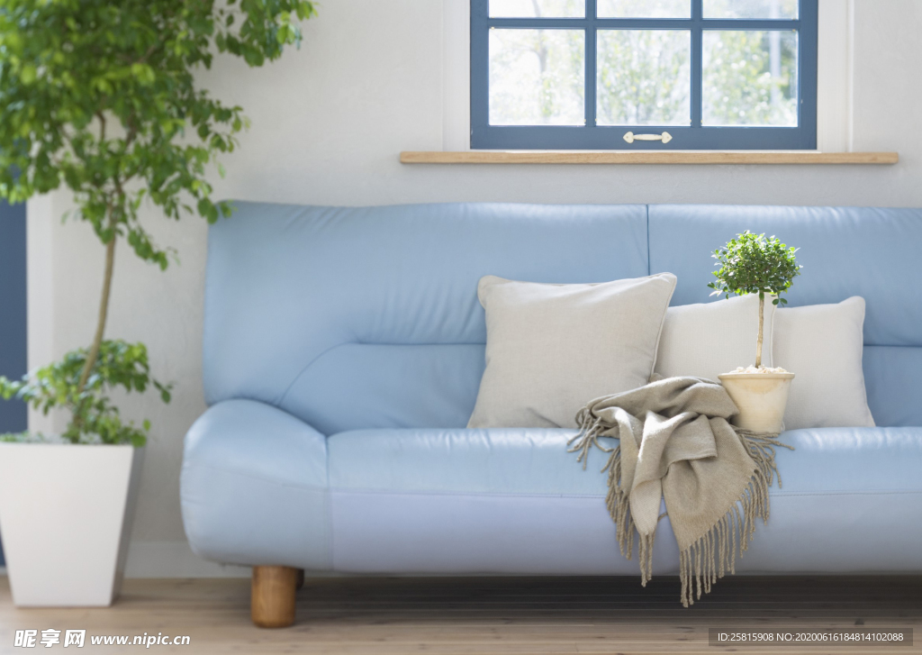 盆栽盆景瓶栽室内外花草图片