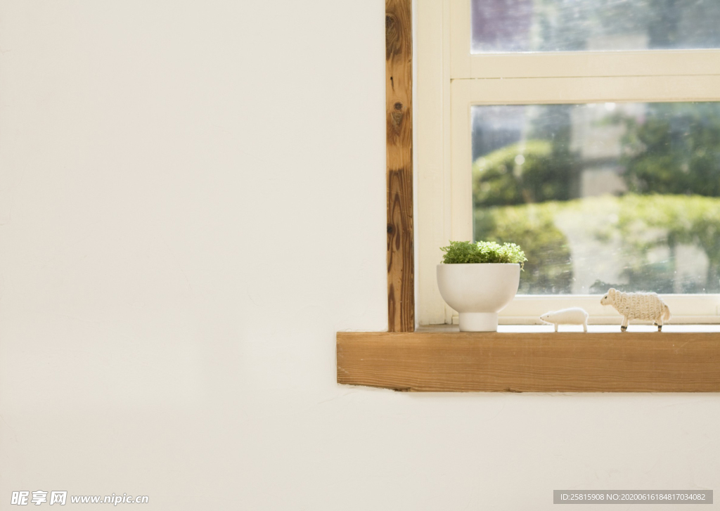 盆栽盆景瓶栽室内外花草图片