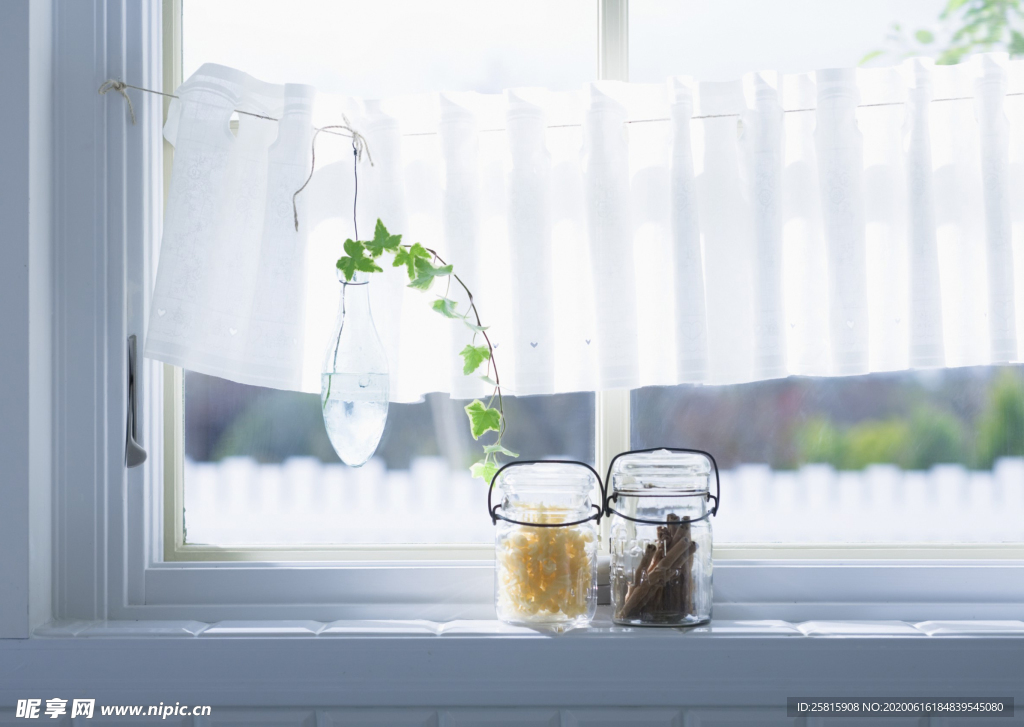 盆栽盆景瓶栽室内外花草图片
