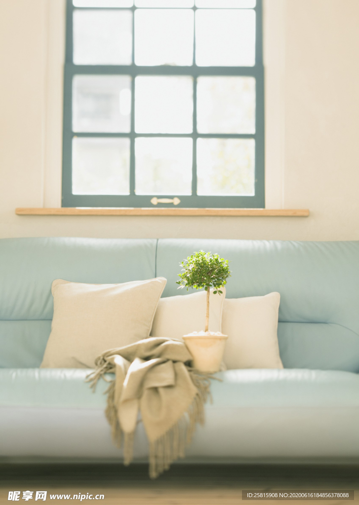 盆栽盆景瓶栽室内外花草图片